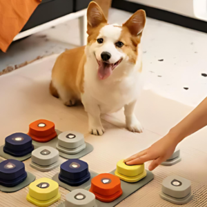 Dog Button Record