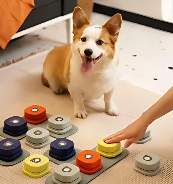 Dog Button Record