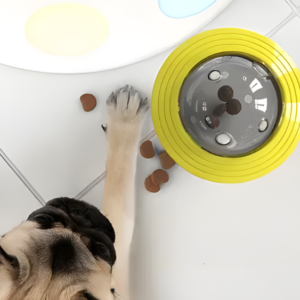 Interactive Slow Feeding Dog Toy