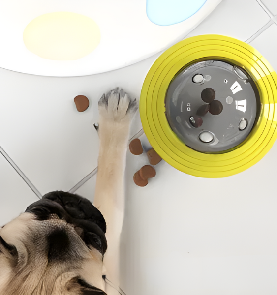 Interactive Slow Feeding Dog Toy