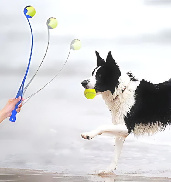 Pet Ball Launcher: Outdoor Dog Toy